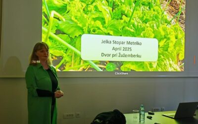 Celoletna samooskrba s svežo zelenjavo